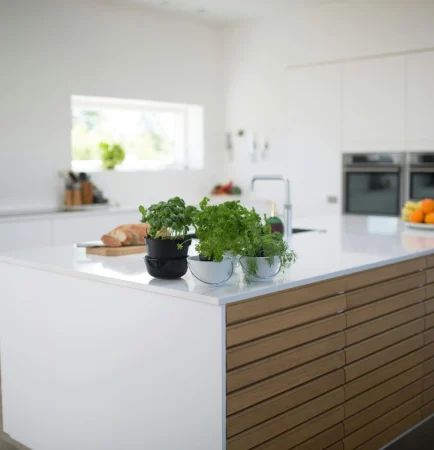 Modern Kitchen extension with large island creating a social space for cooking and dining